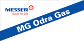 Primary Raster logo